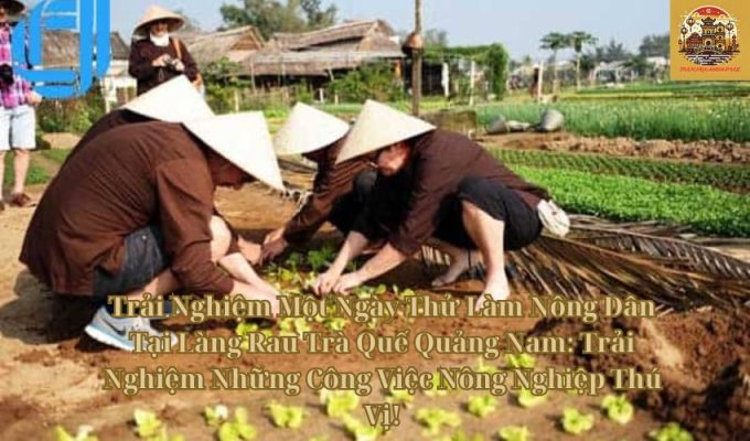 Trải Nghiệm Một Ngày Thử Làm Nông Dân Tại Làng Rau Trà Quế Quảng Nam: Trải Nghiệm Những Công Việc Nông Nghiệp Thú Vị!